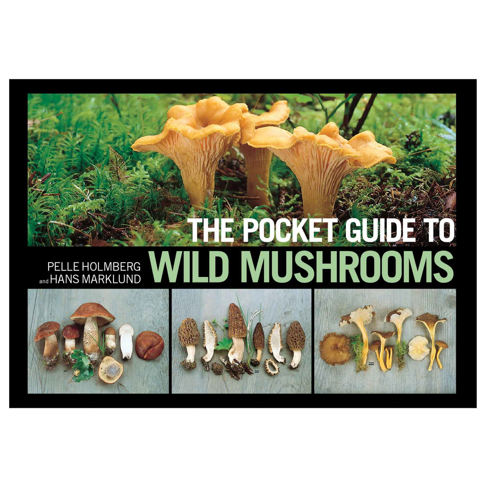 Image of The Pocket Guide to Wild Mushrooms