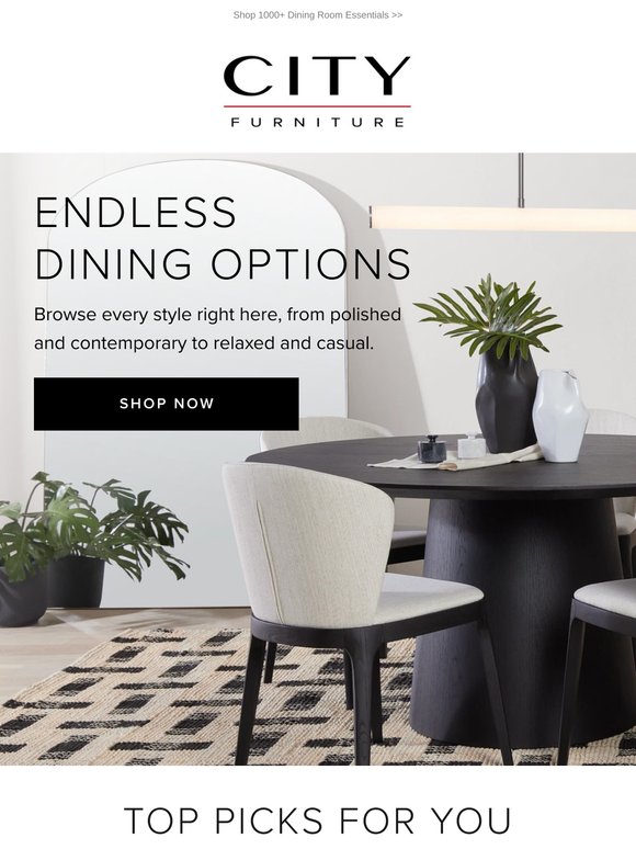 Looking for Dining Room Solutions?