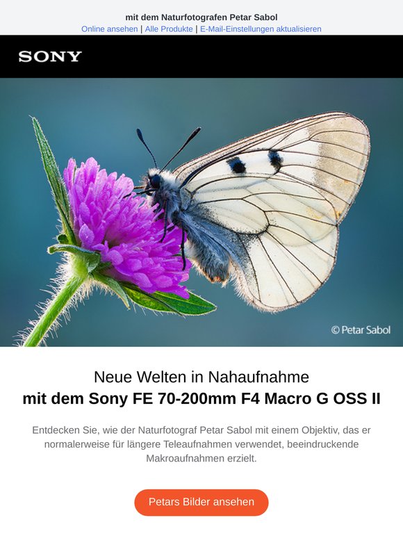Mit dem FE 70-200mm F4 Macro G OSS II eine neue Welt entdecken