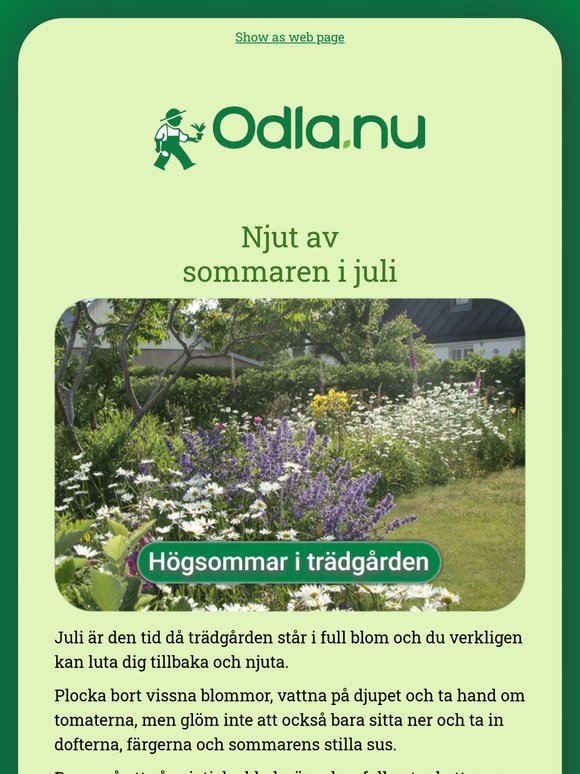 Har du koll på trädgården i högsommaren? 👀