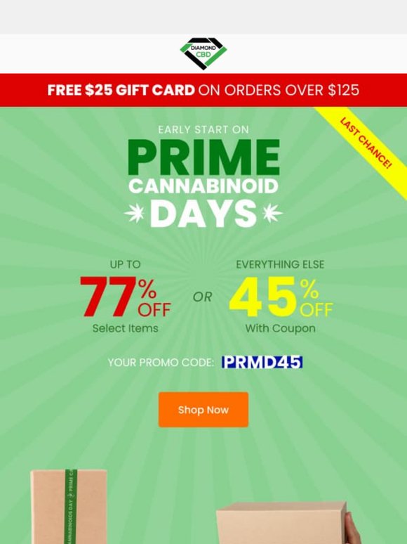 Last Chance for 77% OFF Select Items or 45% OFF Sitewide