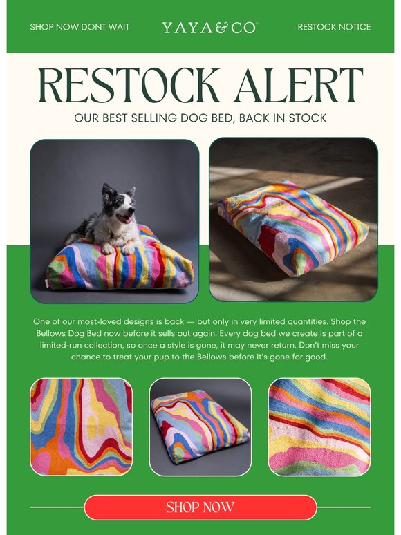 🚨RESTOCK ALERT: The Iconic Bellows Dog Bed is Back! 🌈