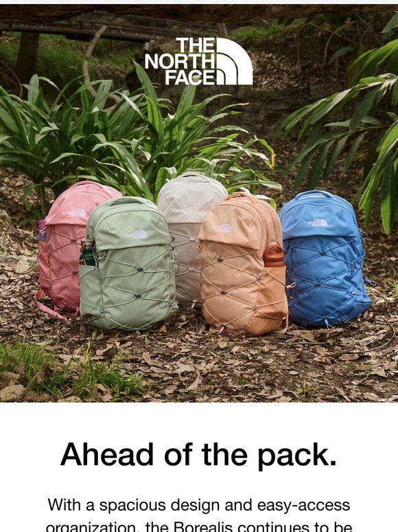 Meet the Borealis Backpack