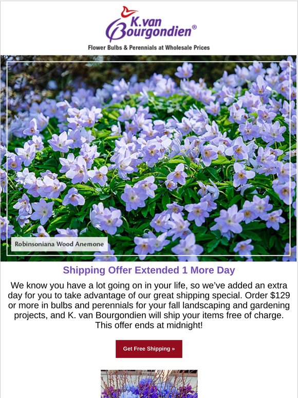 EXTENDED! Free Shipping on $129 Orders