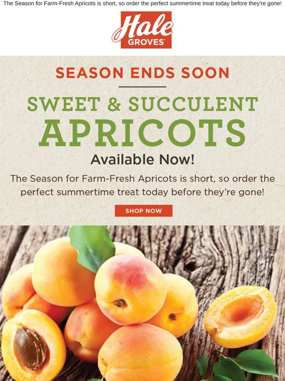Season Ends Soon - Sweet & Succulent Apricots are Available Now!