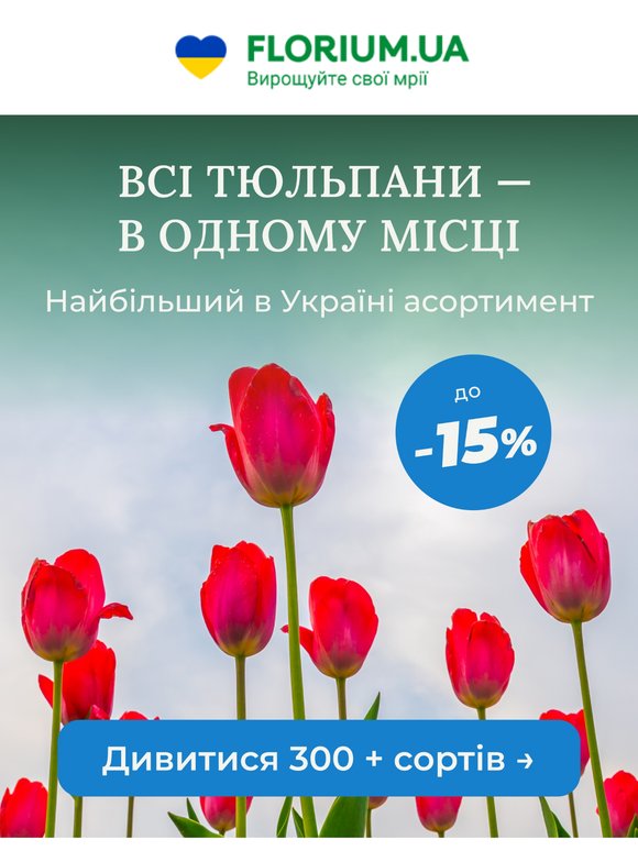 👑 Найбільша колекція тюльпанів в Україні — вже у нас