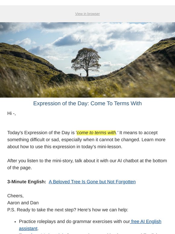 A Beloved Tree Is Gone but Not Forgotten