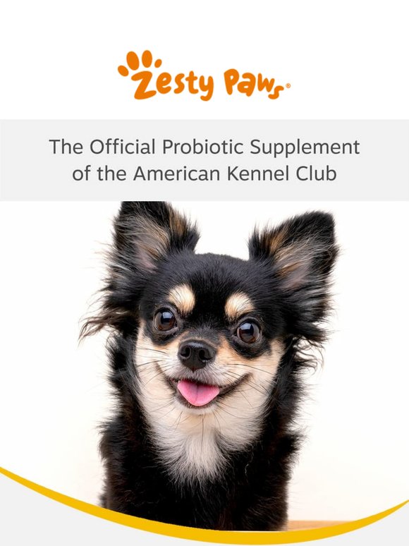 Big news! 🐶🎉 We're now the official probiotic supplement of the American Kennel Club! 🧡✨