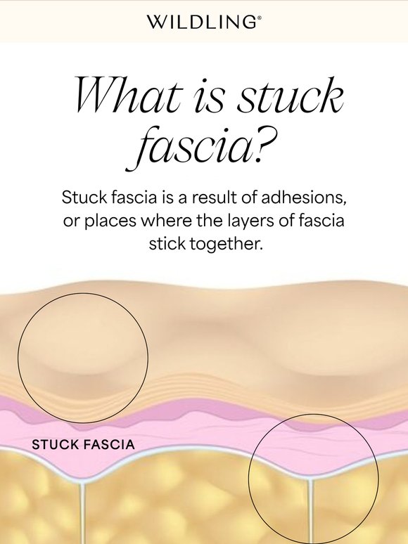 Unstick Your Fascia