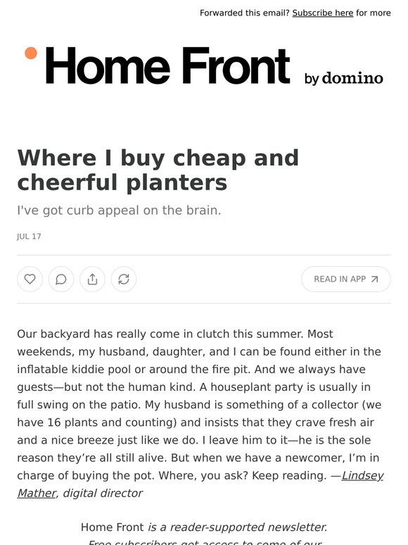 Where I buy cheap and cheerful planters
