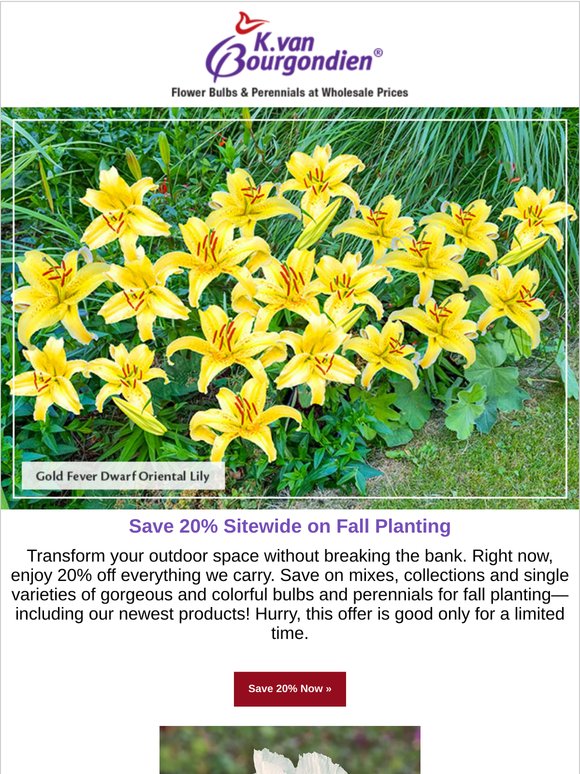 Save 20% on Your Entire Purchase!