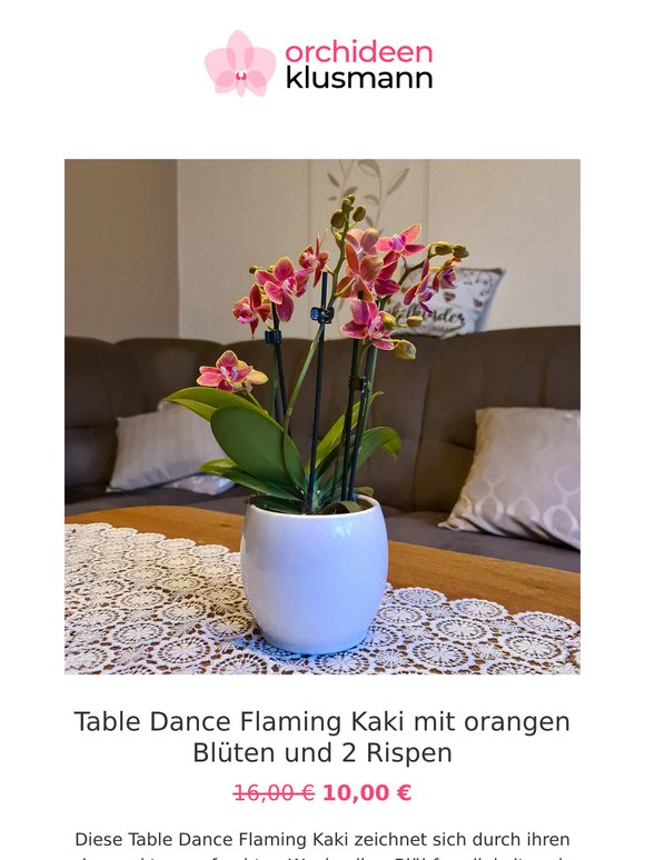 🌸 Table Dance für nur 10 Euro