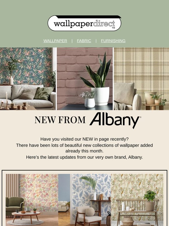 NEW from Albany 😍