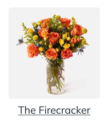 Firecracker
