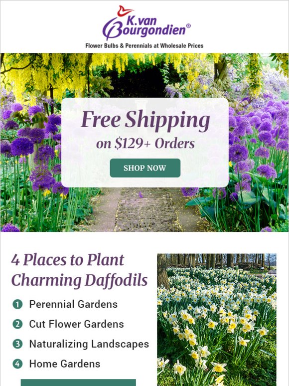 ⭐ Today Is Free Shipping Friday! ⭐