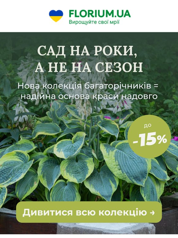 Зустрічайте нові багаторічники! 🌿