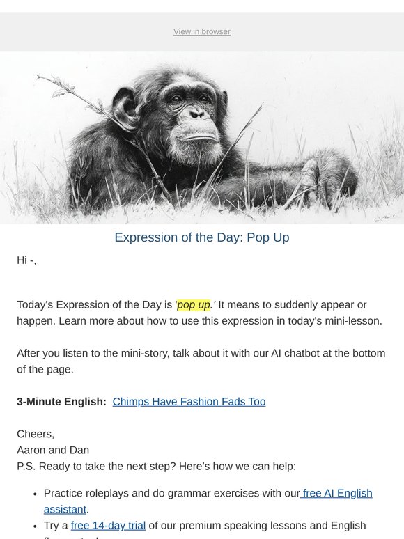 Chimps Have Fashion Fads Too