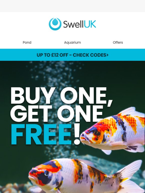 Buy One Get One Free 🐟