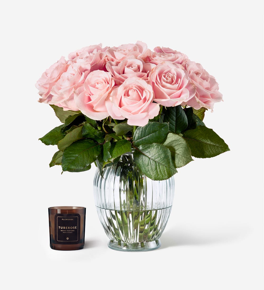 Pink Sweet Rose