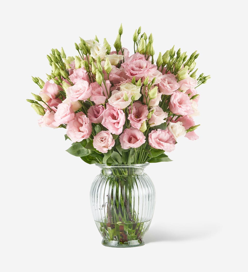 Pink Chiffon Lisianthus