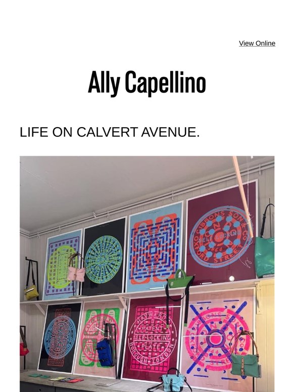 Life on Calvert Avenue
