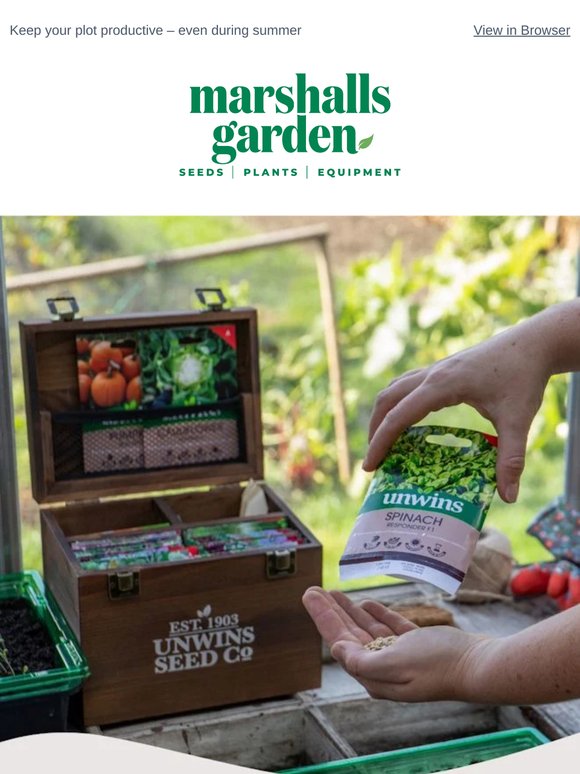 Seeds to Sow This Summer