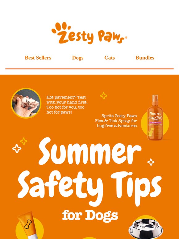 ☀️ Summer essentials (and smart tips) for your pup! 🧡