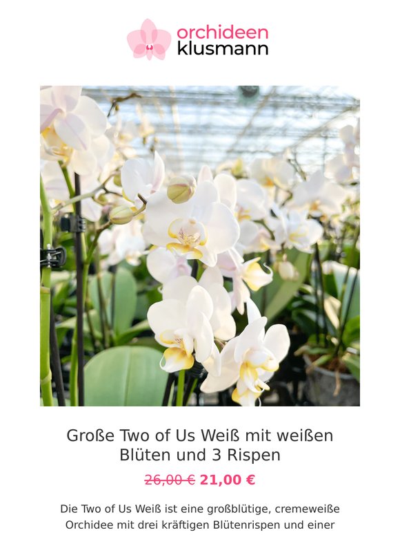 🎁 Für Dich: große Two of Us zum Sonderpreis