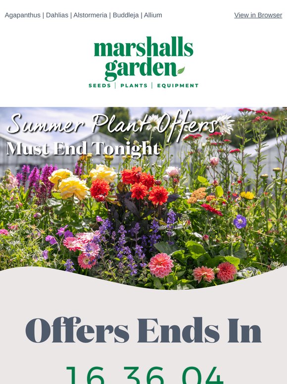 🌟 Final Hours for Exclusive Offers – Don't Miss Out, Gardener!