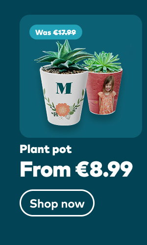 Plant pot from €8.99. Shop now