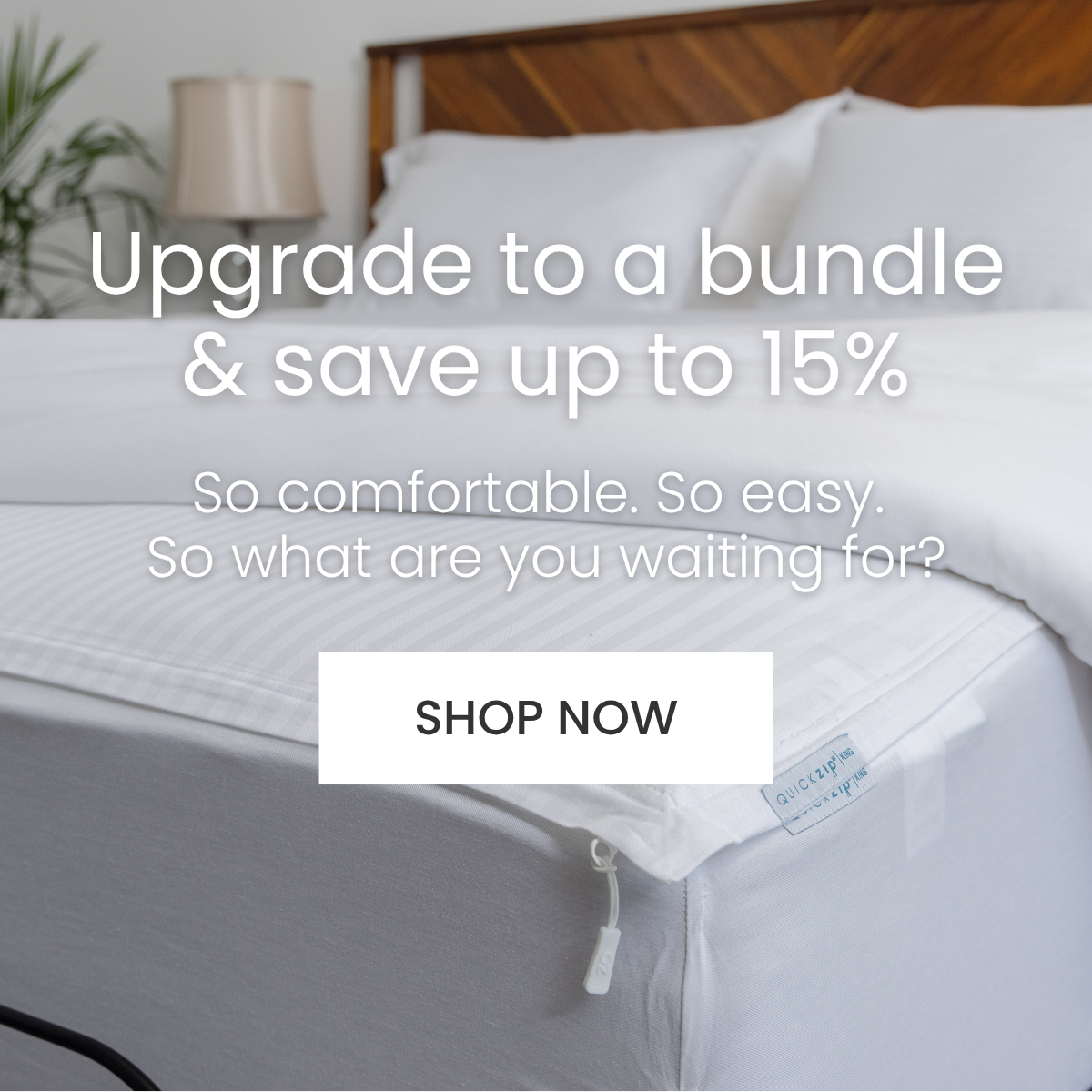 Upgrade to a bundle and save up to 15%! 