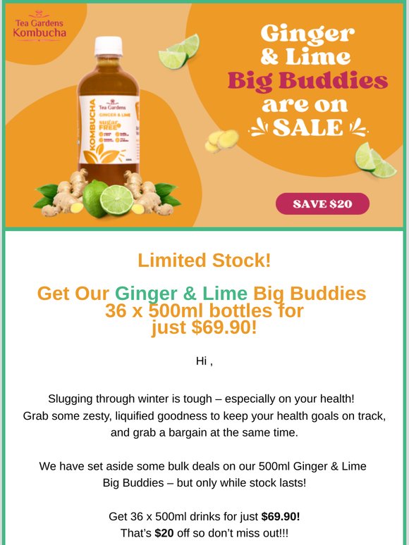 Ginger & Lime Big Buddies are on SALE🍹