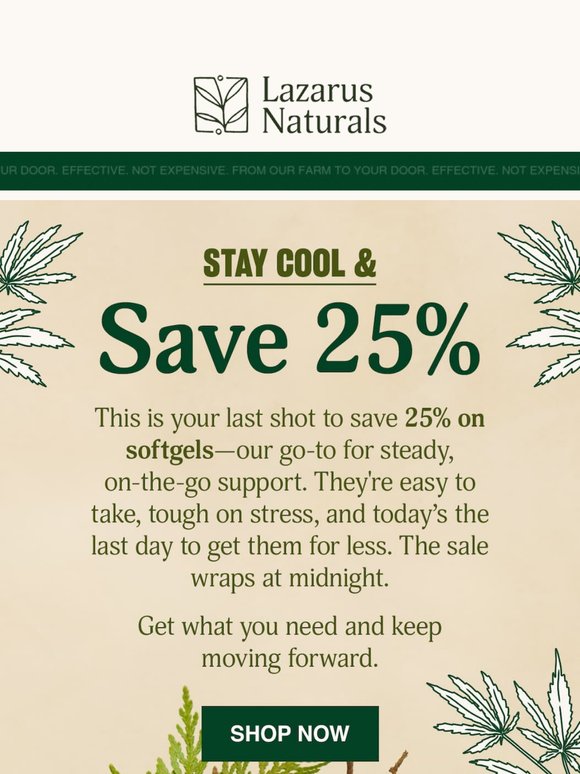 ☀️ Last Call: 25% Off Softgels Ends Tonight.