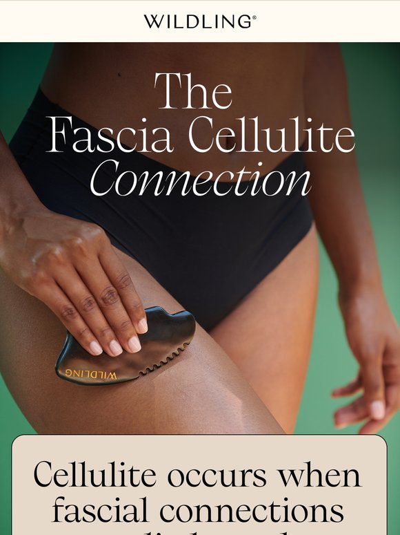 Fascia & Cellulite, Here's The Deal