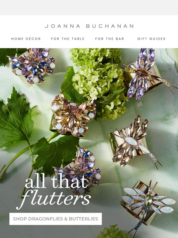 Flutter into Fabulous! Our Favourite Winged Friends Have Arrived