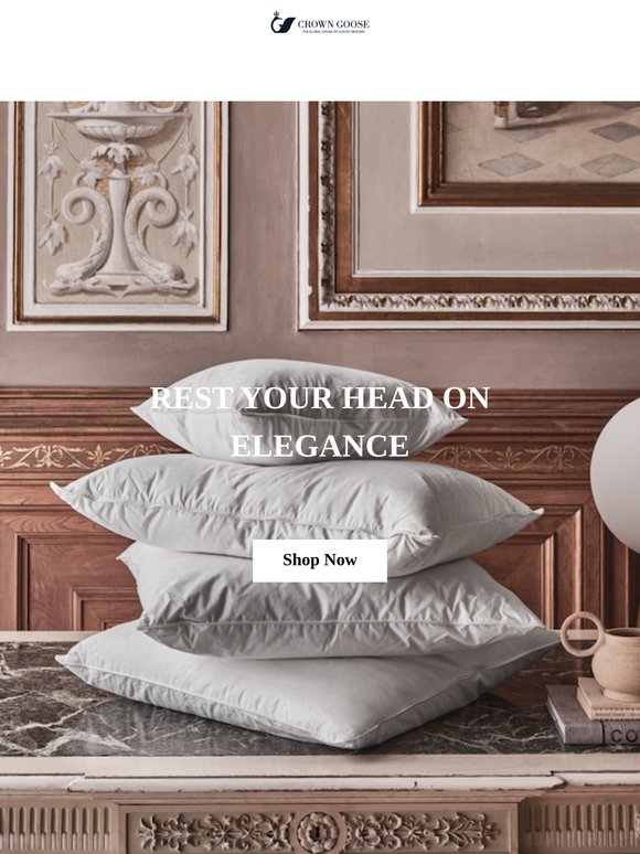 5-Star Hotel Luxury Pillows for You