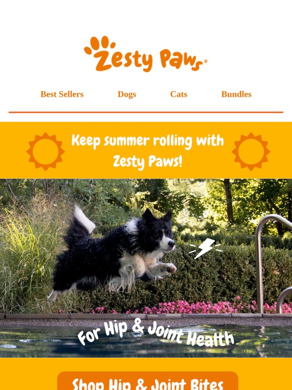 ☀️ Summer's not over yet! Keep them moving with Hip & Joint Bites 🐾
