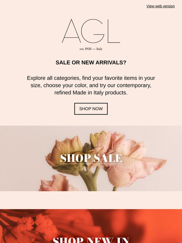 Shopping experience on our e-boutique.