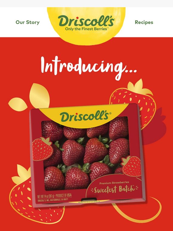 Driscoll's: You Asked, We Listened: Paper Packaging is Here! 🌎 | Milled