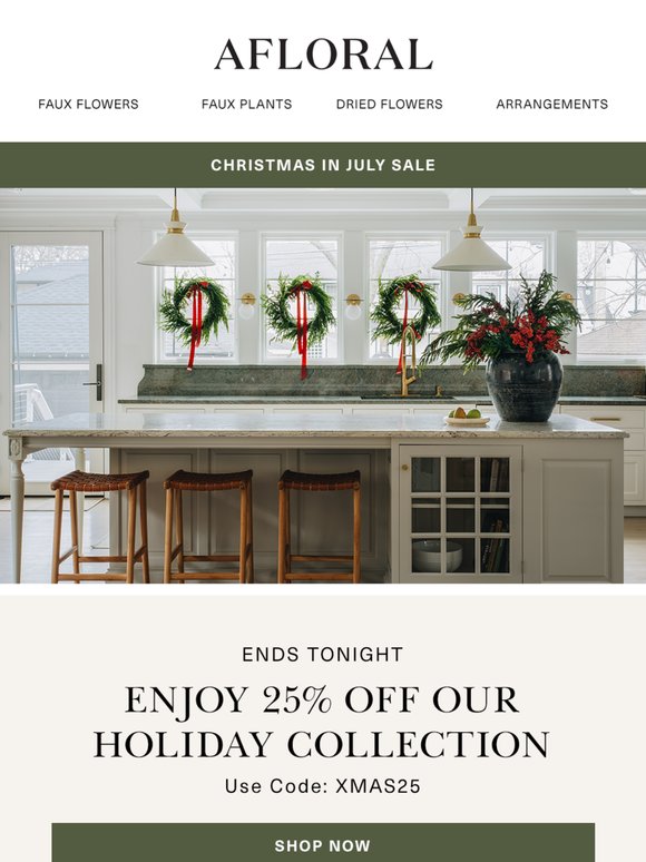 Last Day: 25% Off Holiday 🎄