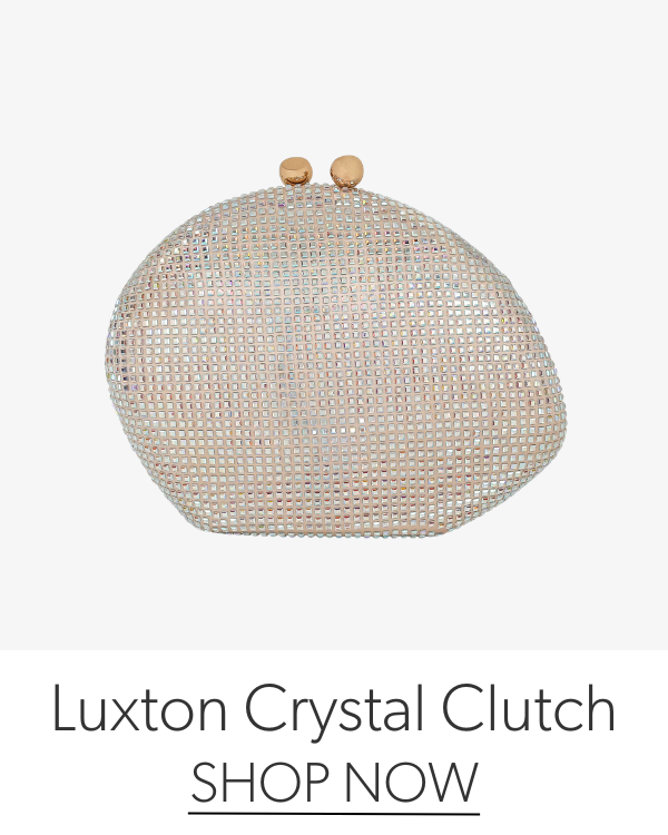 Luxton Crystal Minaudiere