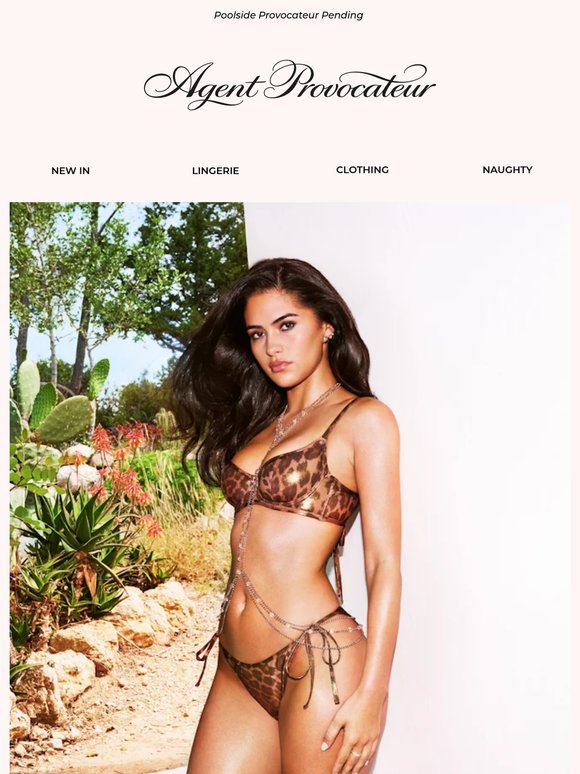 Last Minute Getaway? We've Got You Covered . . . ☀️