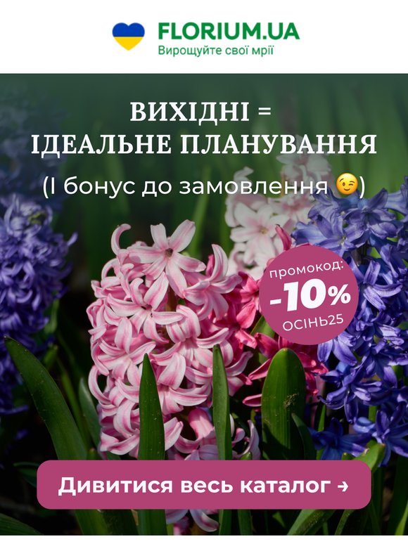 🎁 Ваш бонус на вихідні: залишилось 48 годин!