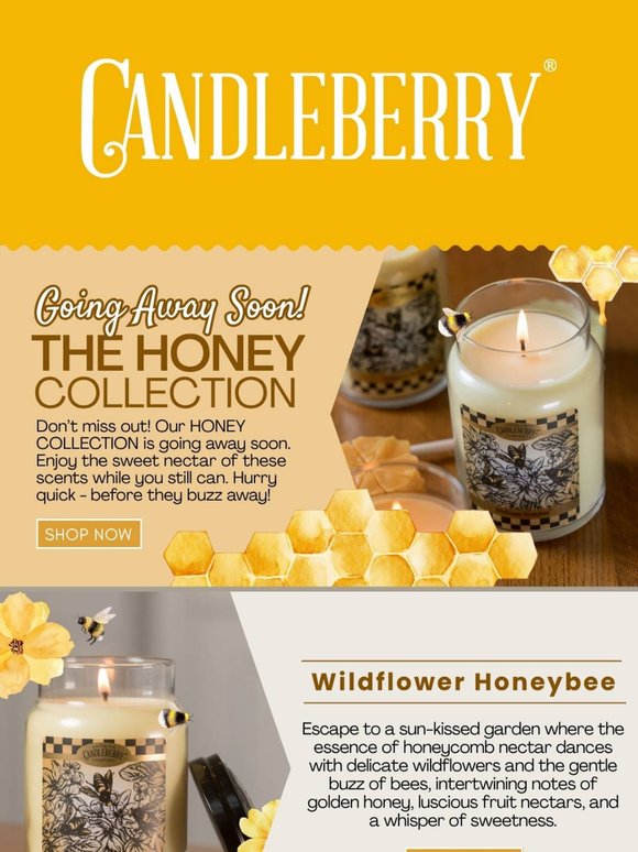 Hurry! Honey Collection Vanishing Soon! 🌼