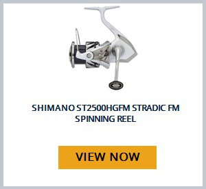 View product recommended for you