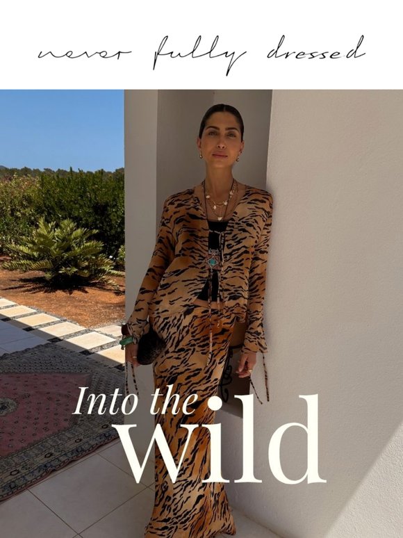 Into The WILD 🐅
