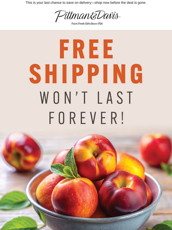 Site-Wide FREE Shipping Ends Tomorrow - Order Now!