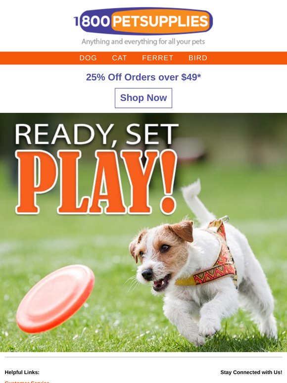 You’ll Melt for This: 25% Off Your Order!