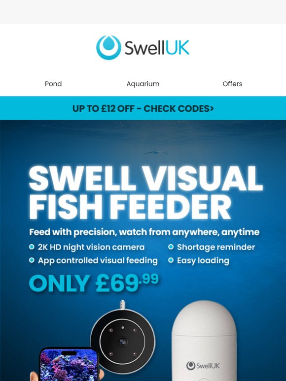 Fish Feeding Sorted for Your Holiday ✈️