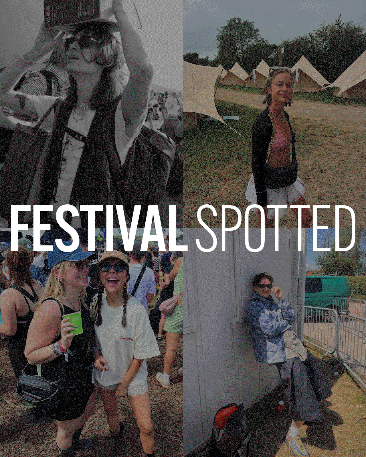 FESTIVAL SPOTTED